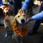 10KeyThings Diwali in Nepal 5